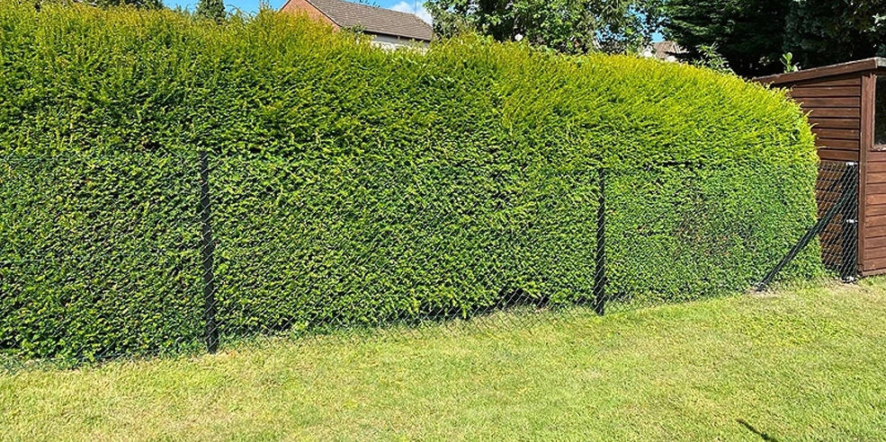 Chain Link Fencing